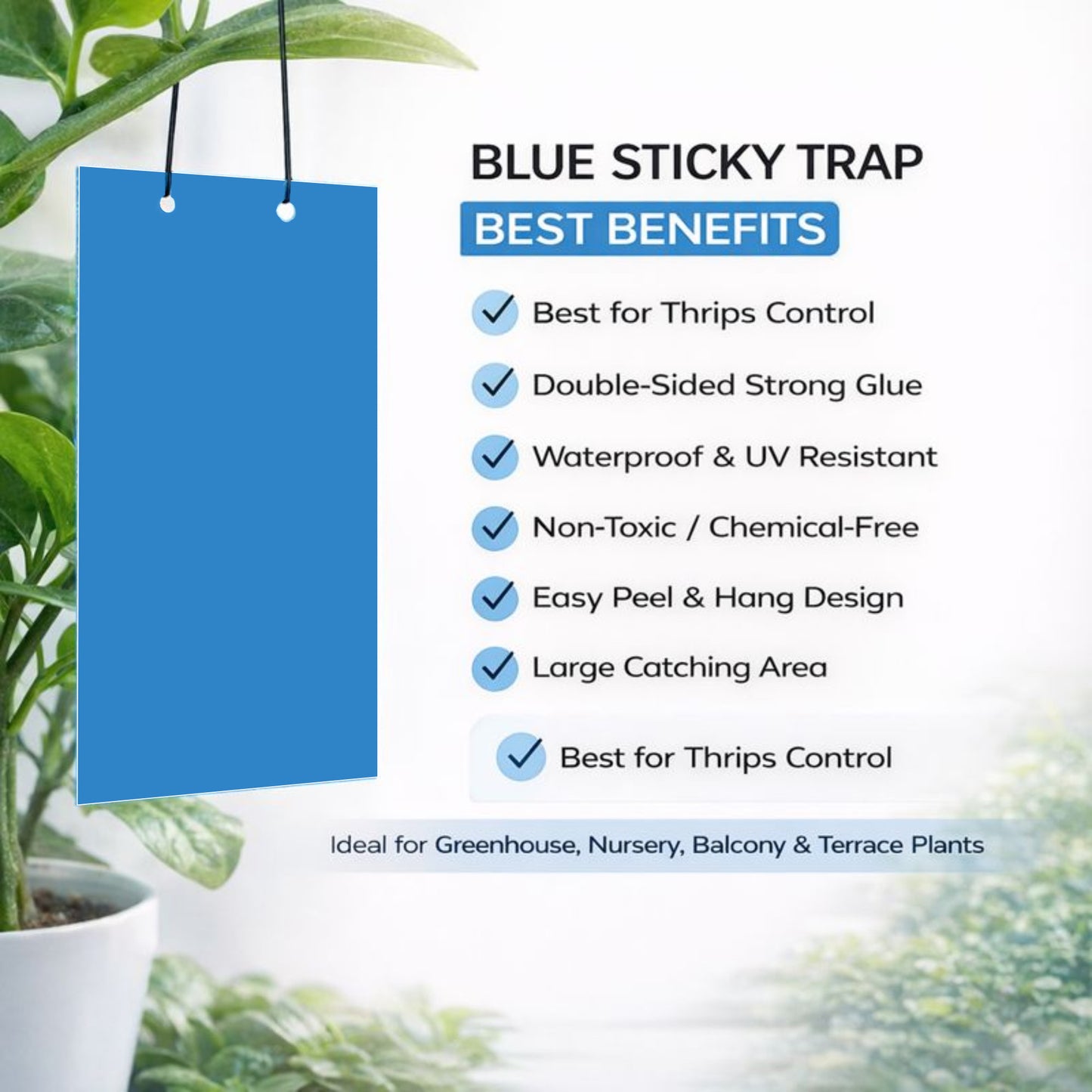 Casa De Amor Sticky Pads for Sticky Trap for Insects Pack of 10 Sheets | for Garden & Agriculture to Control Whiteflies, Aphids, Thrips, Jassids| Fly Catcher Insect Catcher Glue Trap for 100% Results