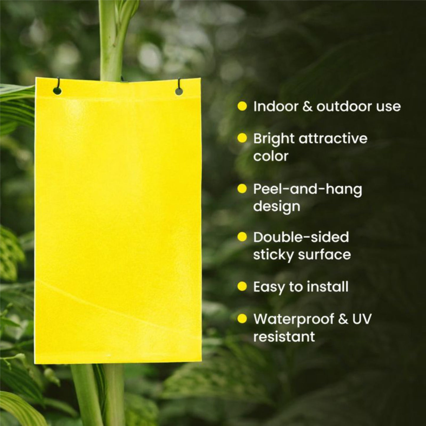 Casa De Amor Sticky Pads for Sticky Trap for Insects Pack of 10 Sheets | for Garden & Agriculture to Control Whiteflies, Aphids, Thrips, Jassids| Fly Catcher Insect Catcher Glue Trap for 100% Results