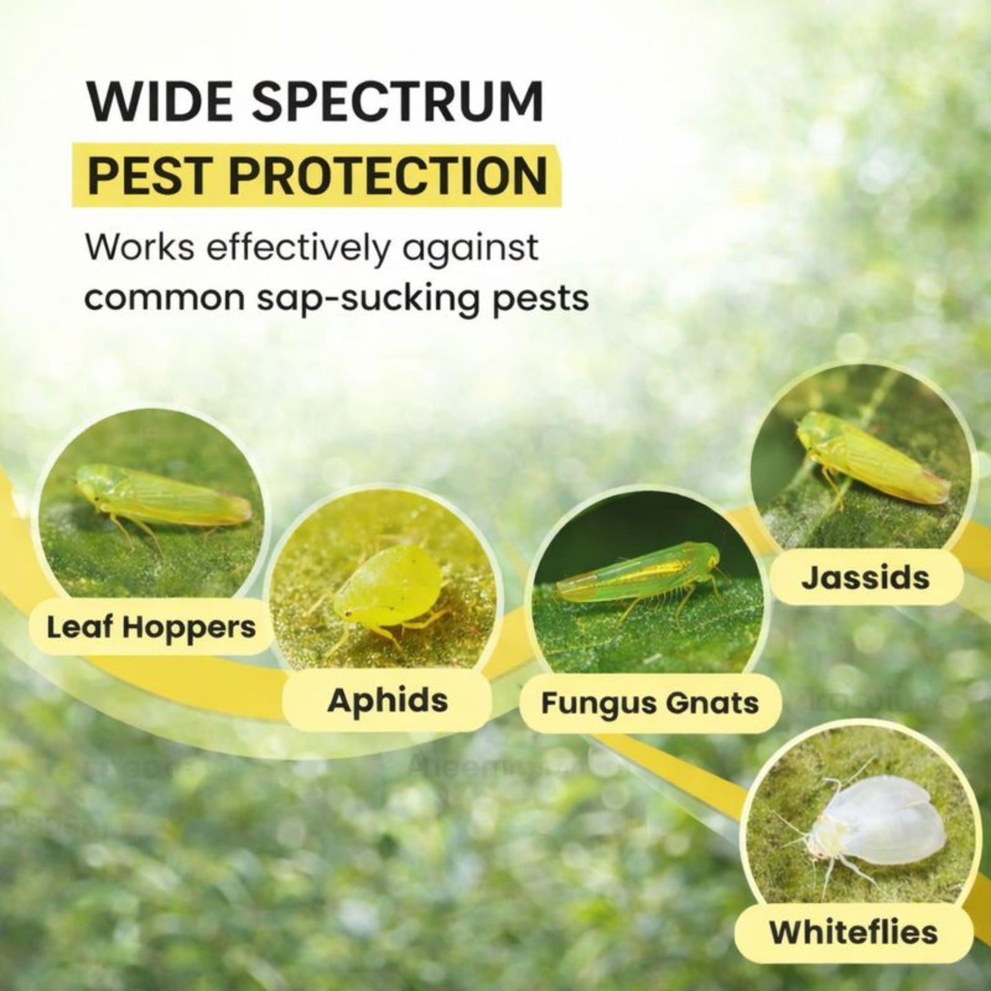 Casa De Amor Sticky Pads for Sticky Trap for Insects Pack of 10 Sheets | for Garden & Agriculture to Control Whiteflies, Aphids, Thrips, Jassids| Fly Catcher Insect Catcher Glue Trap for 100% Results