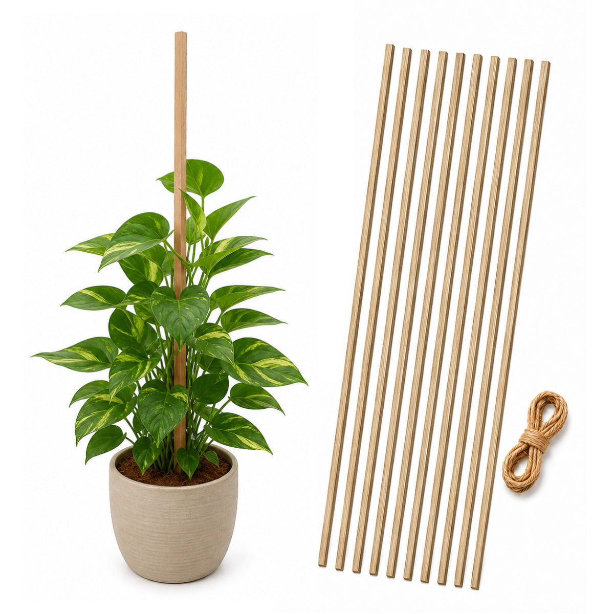 Casa De Amor Natural Teak Wooden Support Sticks for Plant Stem Support, Square Garden Stakes for Indoor & Outdoor Gardening, 3 Feet Long