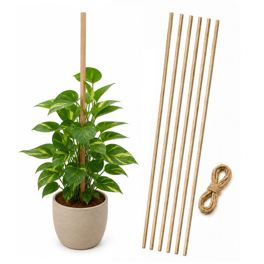 Casa De Amor Natural Teak Wooden Support Sticks for Plant Stem Support, Square Garden Stakes for Indoor & Outdoor Gardening, 3 Feet Long