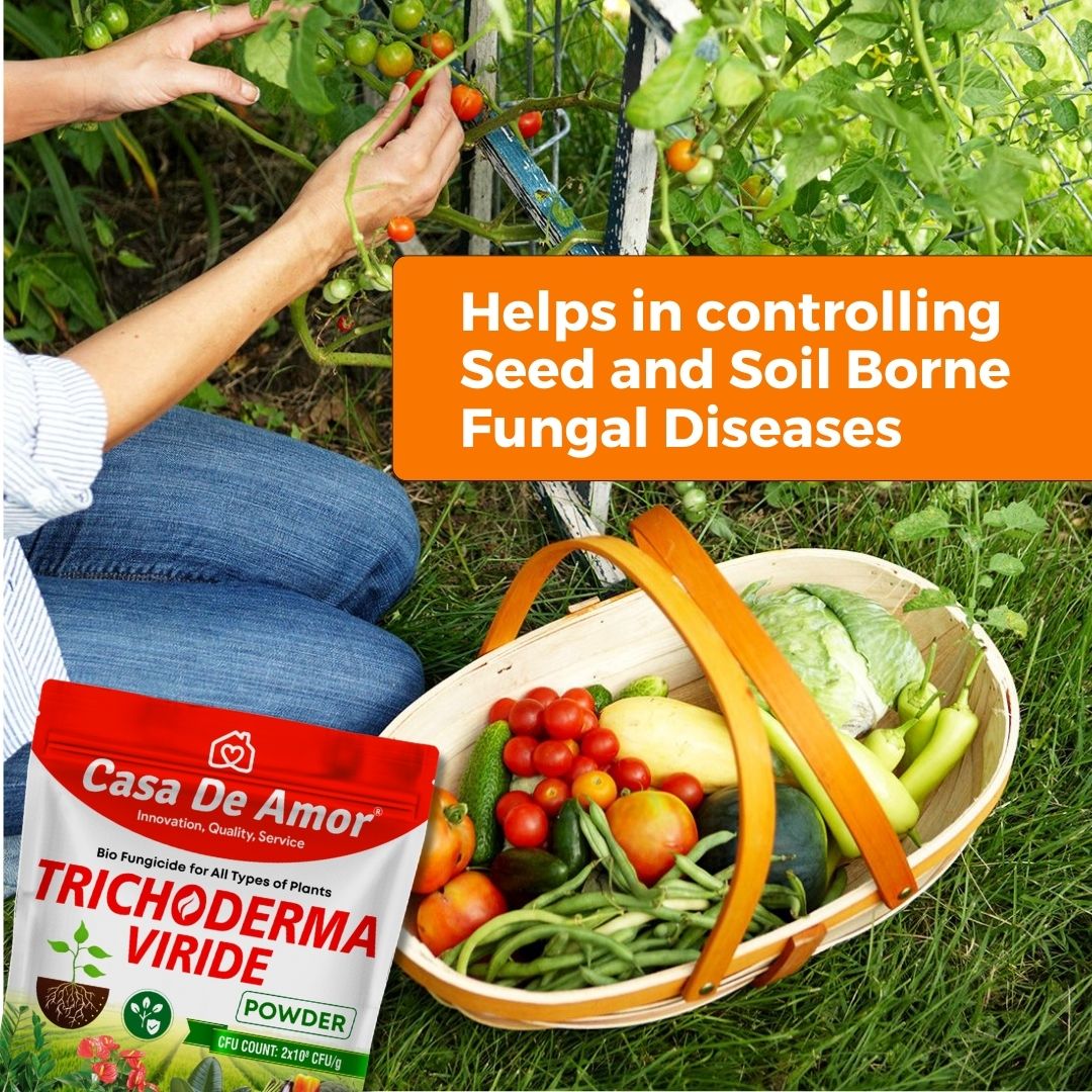 Casa De Amor Trichoderma Bio Fungicide for Plants | Protects from Fungal & Bacterial Diseases | Boosts Plant Immunity & Root Growth (2 x 10⁸ CFU per Gram)