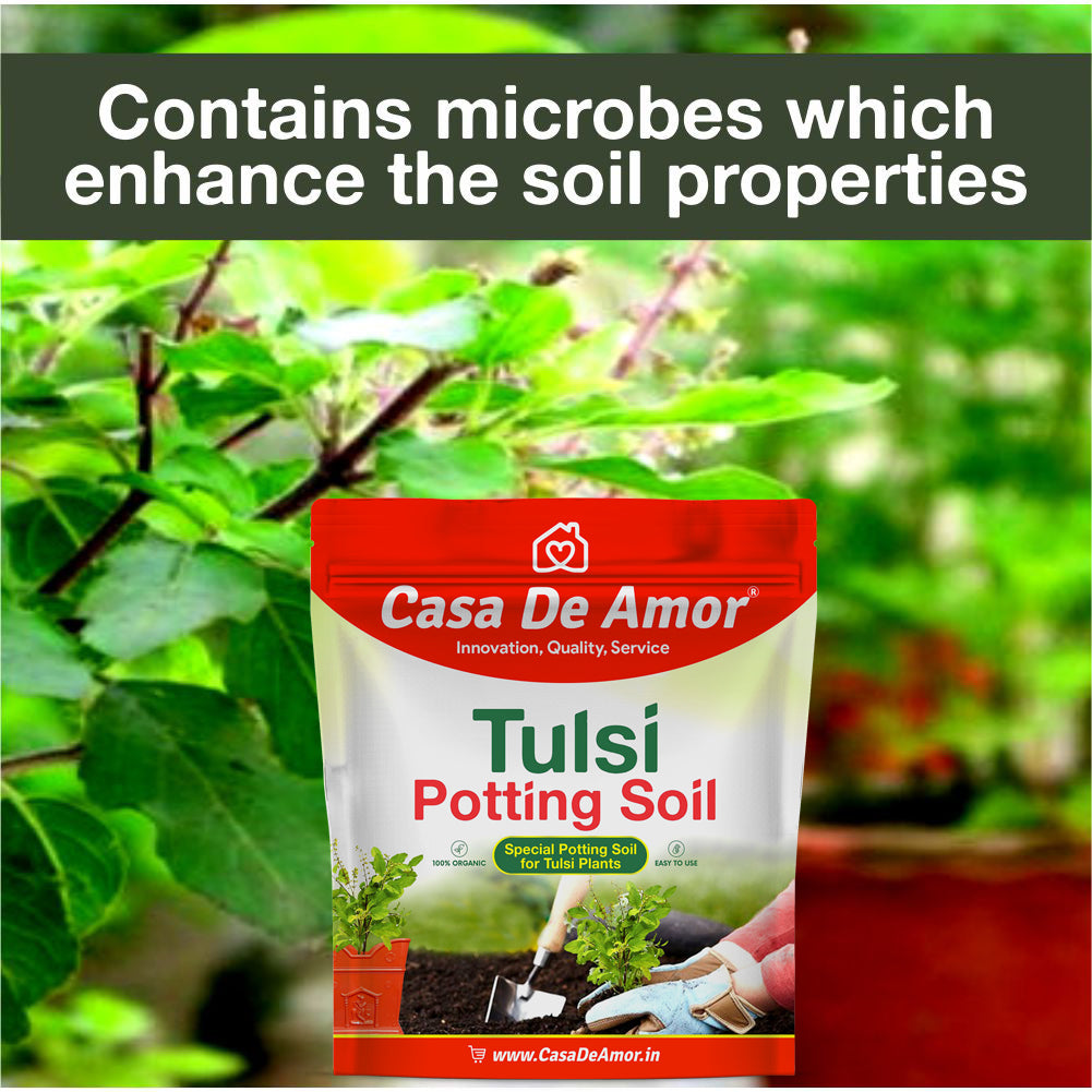 Casa De Amor Organic Tulsi Potting Soil 2 Kg + Tulsi Plant Fertilizer 900 gm- Combo Pack