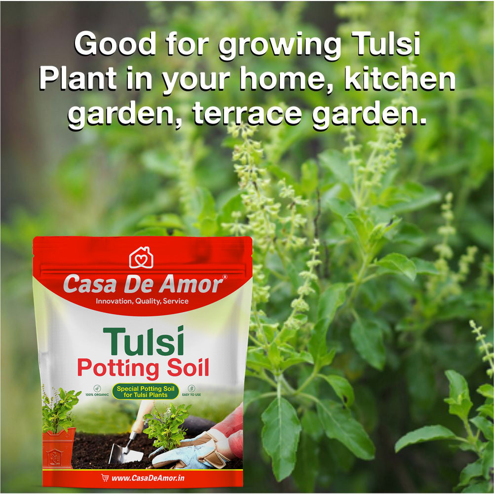 Casa De Amor Special Tulsi Plant Potting Soil