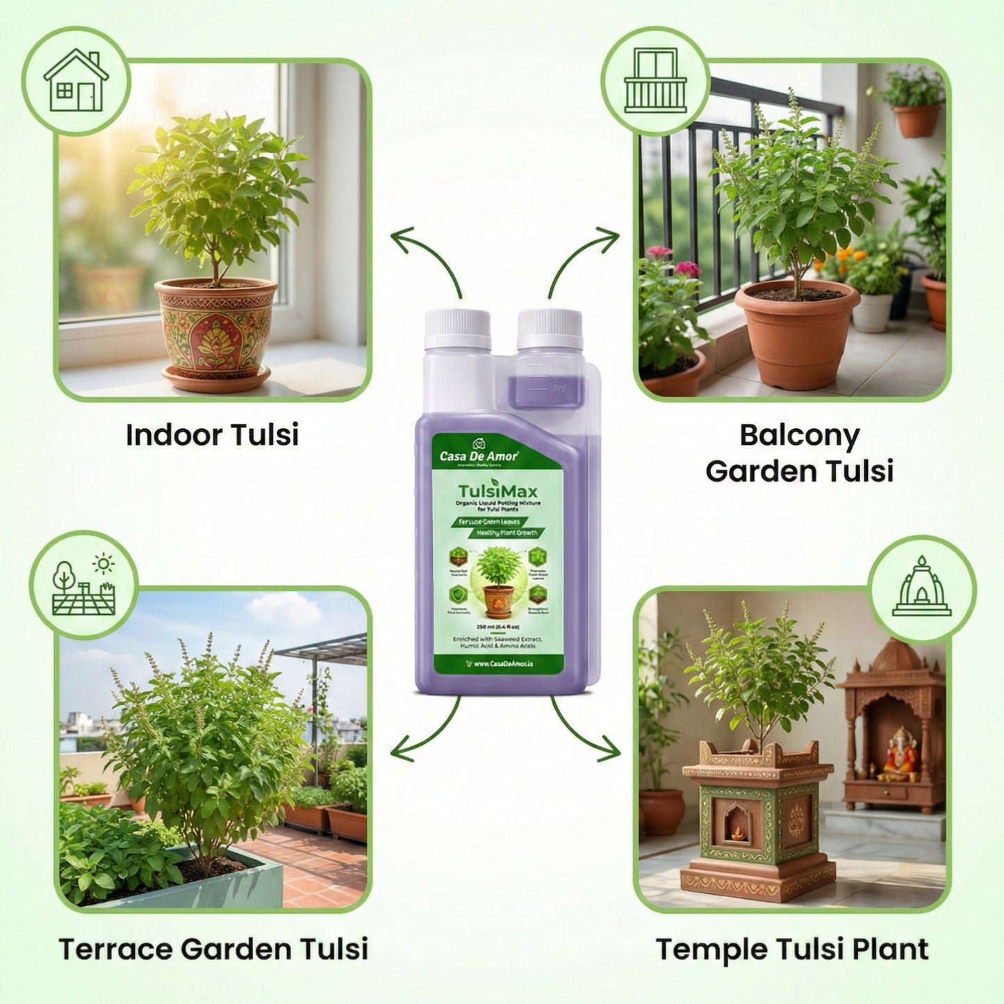 Casa De Amor TulsiMax Liquid Plant Nutrient 250ml | Pure Veg Formula for Tulsi Plants