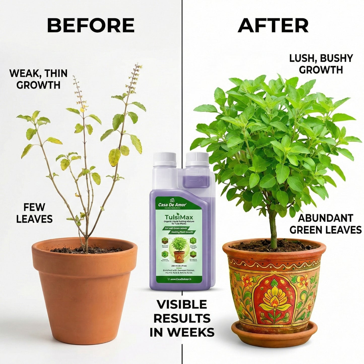Casa De Amor TulsiMax Liquid Plant Nutrient 250ml | Pure Veg Formula for Tulsi Plants