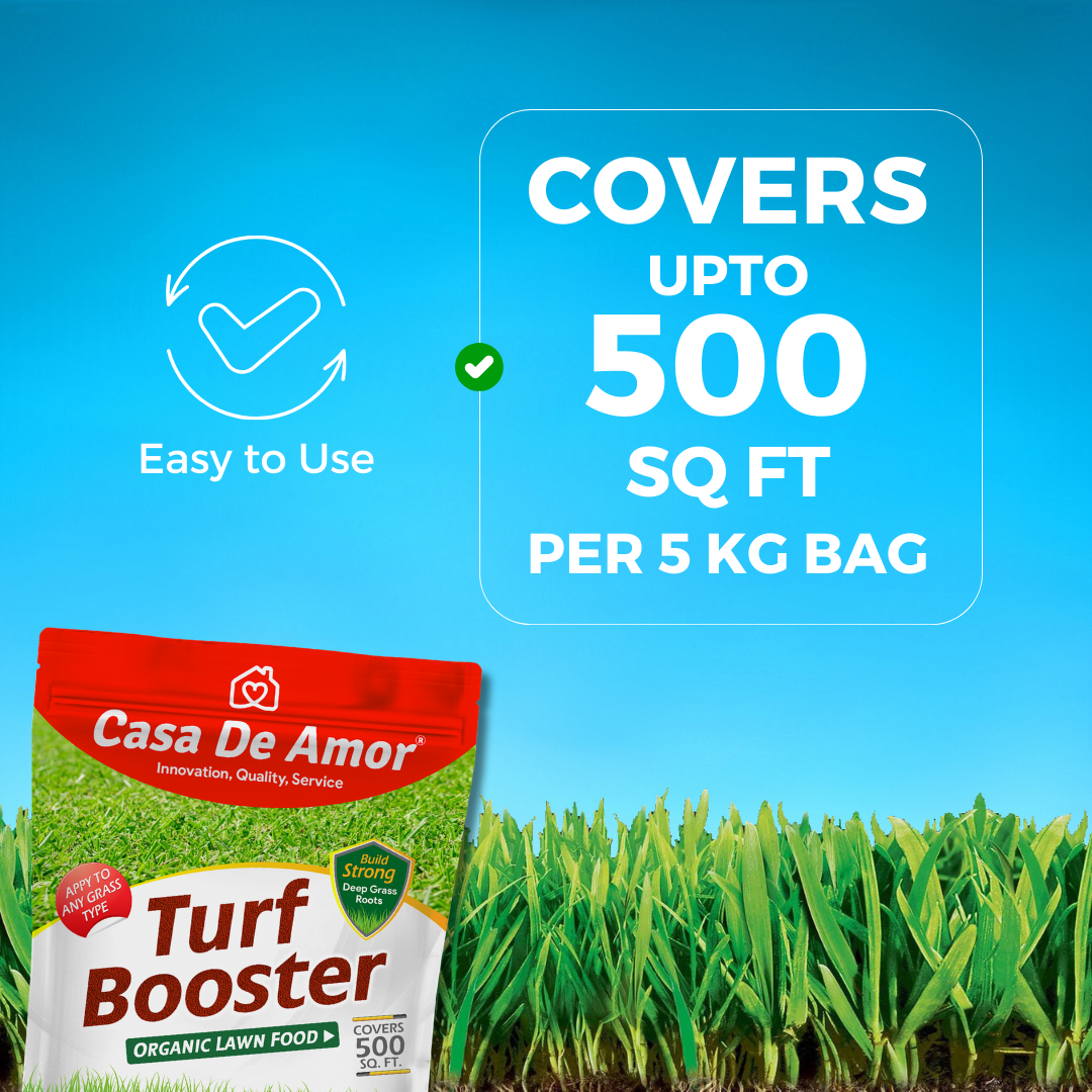 Casa De Amor Turf Booster Lawn Fertilizer Granules, Build Thick-Green Lawns (5 kg Bag Covers 500 sq. ft.)