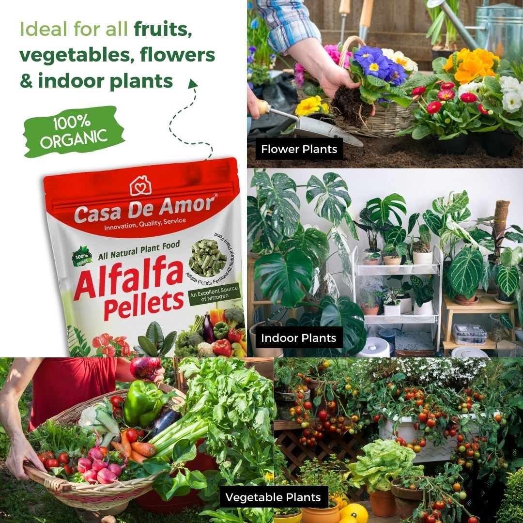 Casa De Amor Alfalfa Pellets ideal for organic gardening, mulch, hydroponics, livestock feed