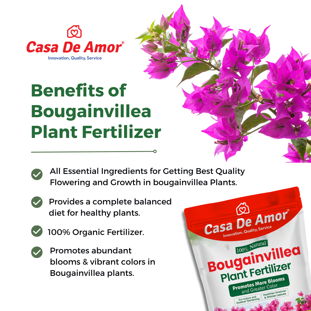 Casa De Amor Bougainvillea Plant Fertilizer, Promotes More Blooms and Greater Color