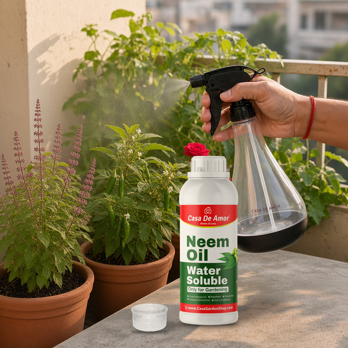 Casa De Amor Neem Oil Spray Kit - water soluble neem oil 500ml and 700ml spray bottle in use on a balcony garden