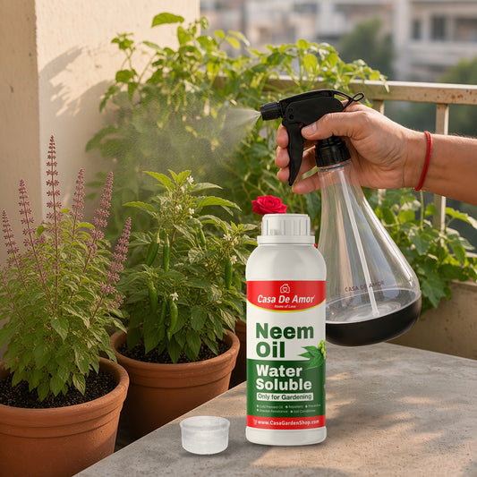 Casa De Amor Neem Oil Spray Kit - water soluble neem oil 500ml and 700ml spray bottle in use on a balcony garden