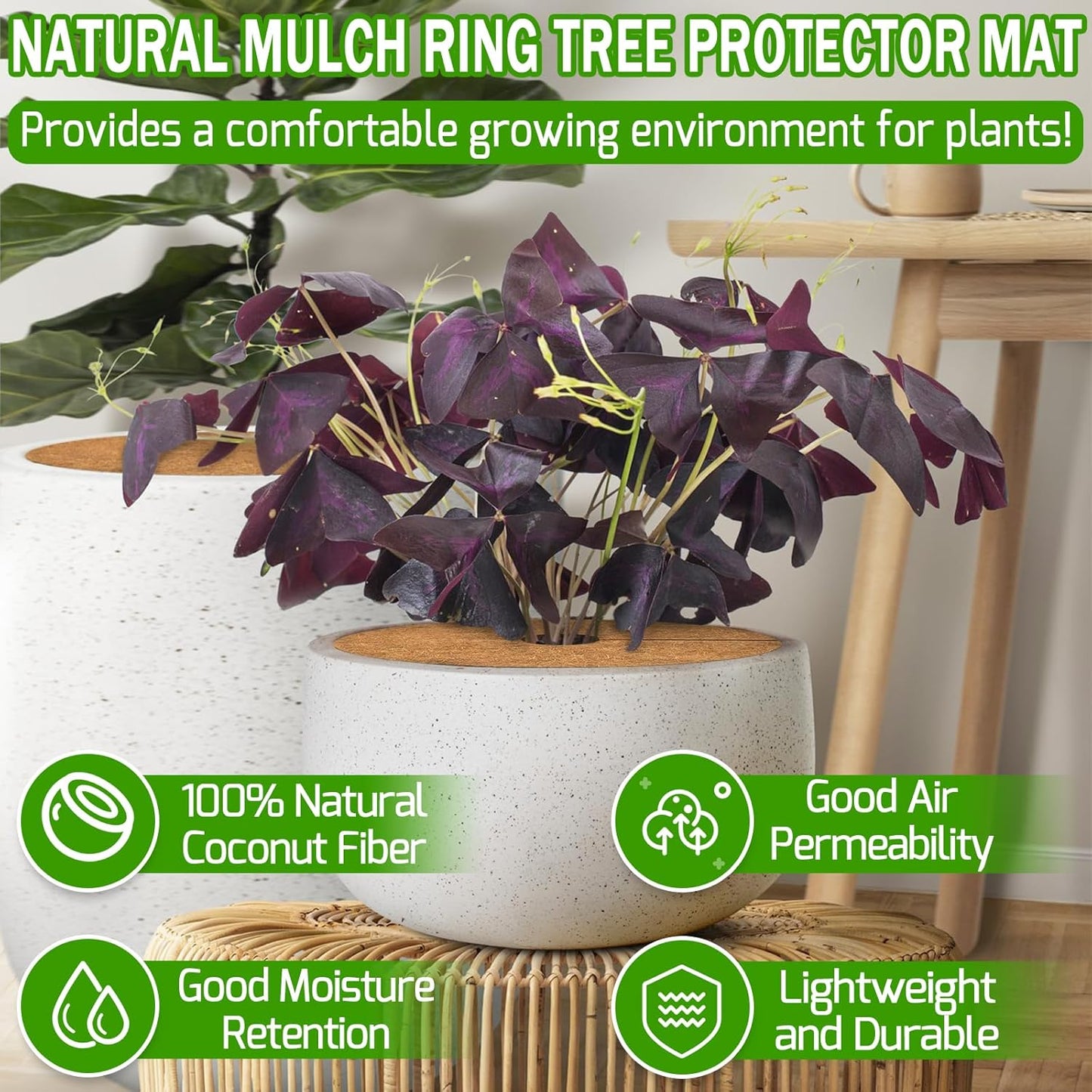 Casa De Amor Coco Coir Mulch Ring Mat | Natural Coconut Fiber Plant Protector for Indoor & Outdoor Plants | Weed Control & Moisture Retention | Root Protection & Soil Health