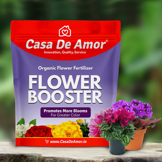 Casa De Amor Flower Booster Special for Flower Plants