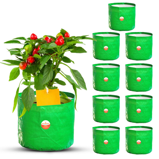 Casa De Amor Terrace Gardening Vegetable and Flower Green Grow Bag (12" X 12" inches, 220 GSM)