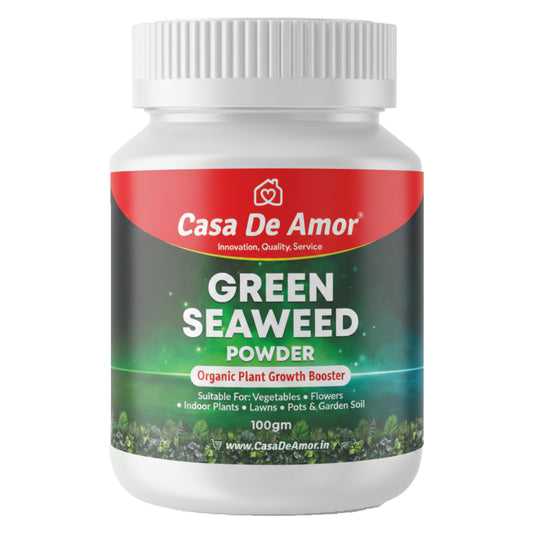 Casa De Amor Green Seaweed Powder for Plants 100gm | Vegetables, Flowers, Indoor & Outdoor Gardening | Improves Root Growth & Flowering