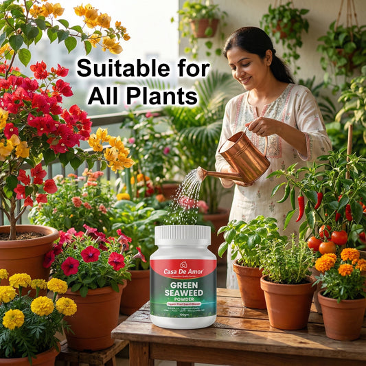 Casa De Amor Green Seaweed Powder for Plants 100gm | Vegetables, Flowers, Indoor & Outdoor Gardening | Improves Root Growth & Flowering