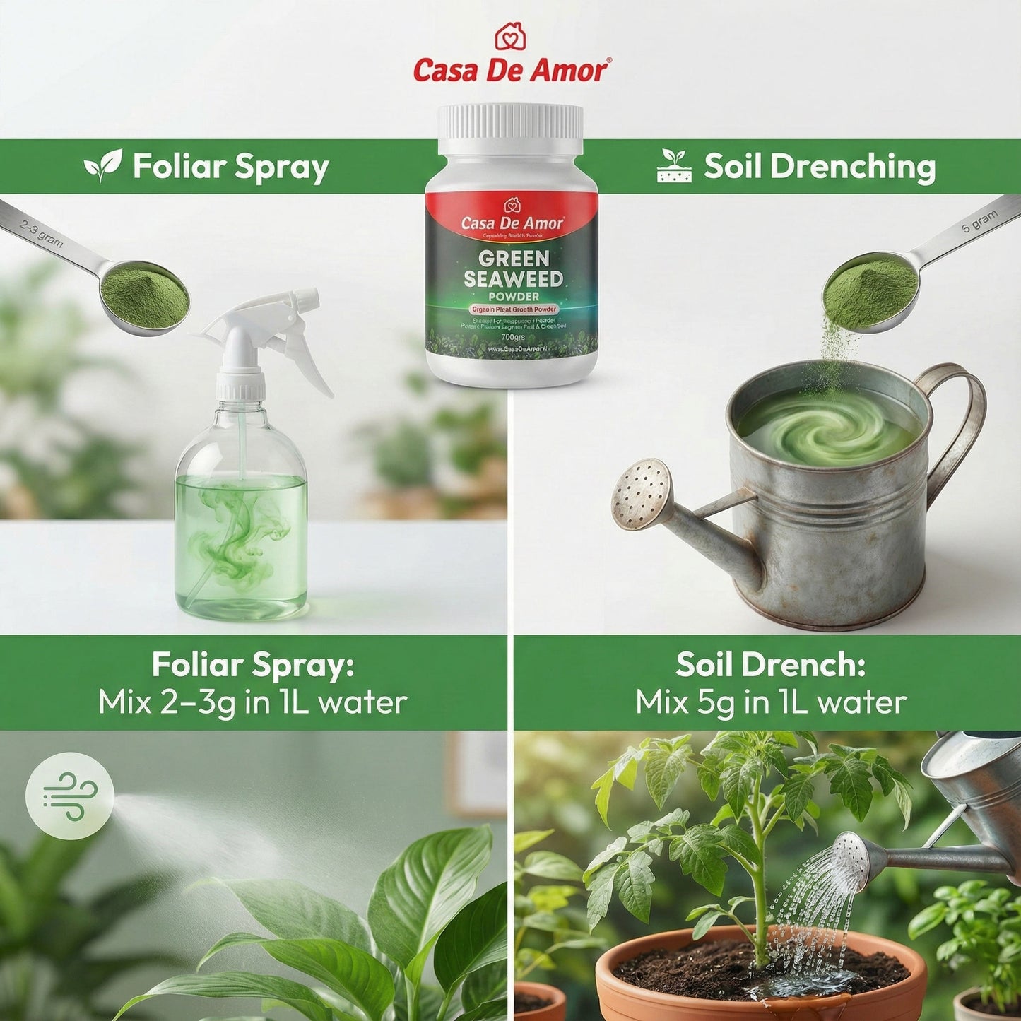Casa De Amor Green Seaweed Powder for Plants 100gm | Vegetables, Flowers, Indoor & Outdoor Gardening | Improves Root Growth & Flowering