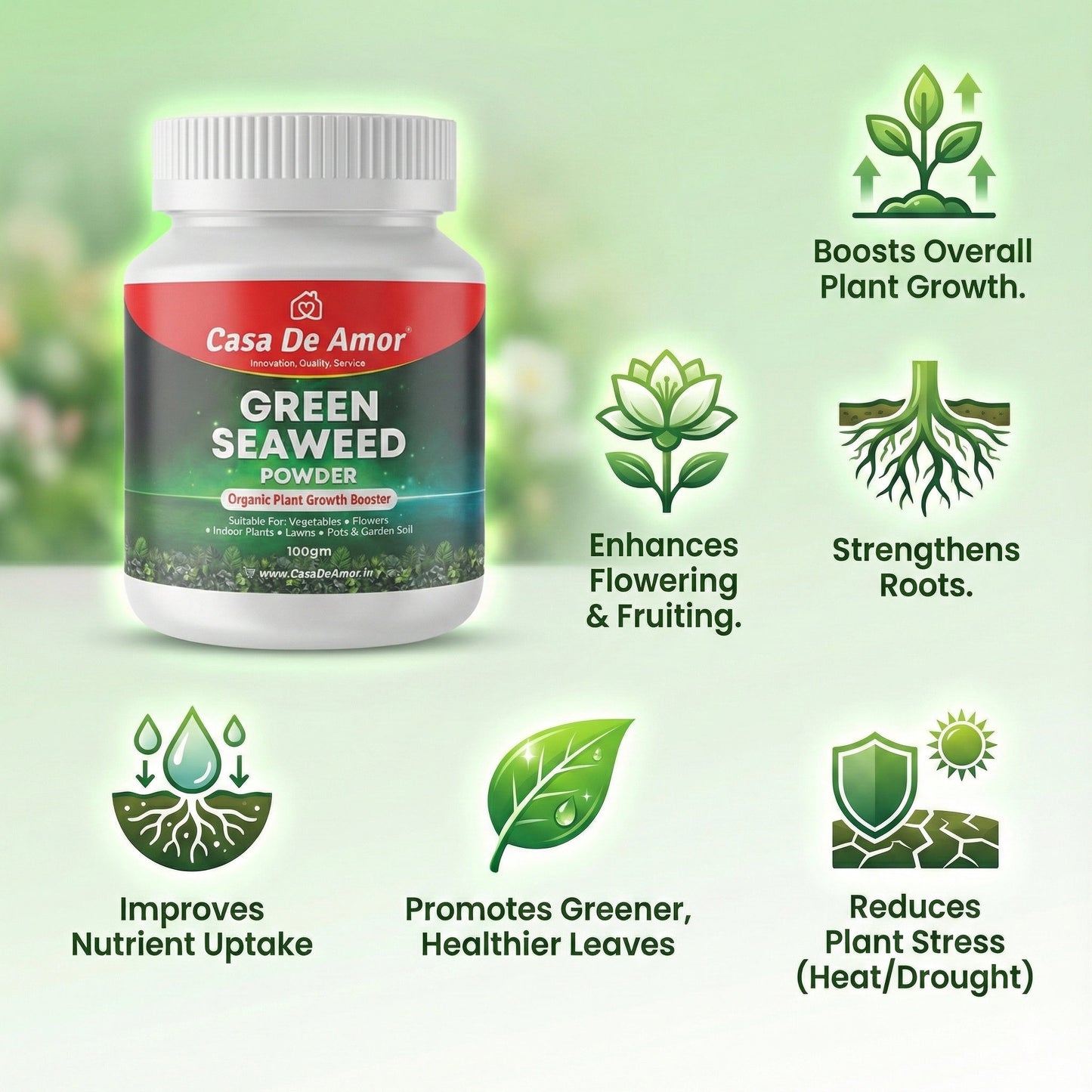 Casa De Amor Green Seaweed Powder for Plants 100gm | Vegetables, Flowers, Indoor & Outdoor Gardening | Improves Root Growth & Flowering