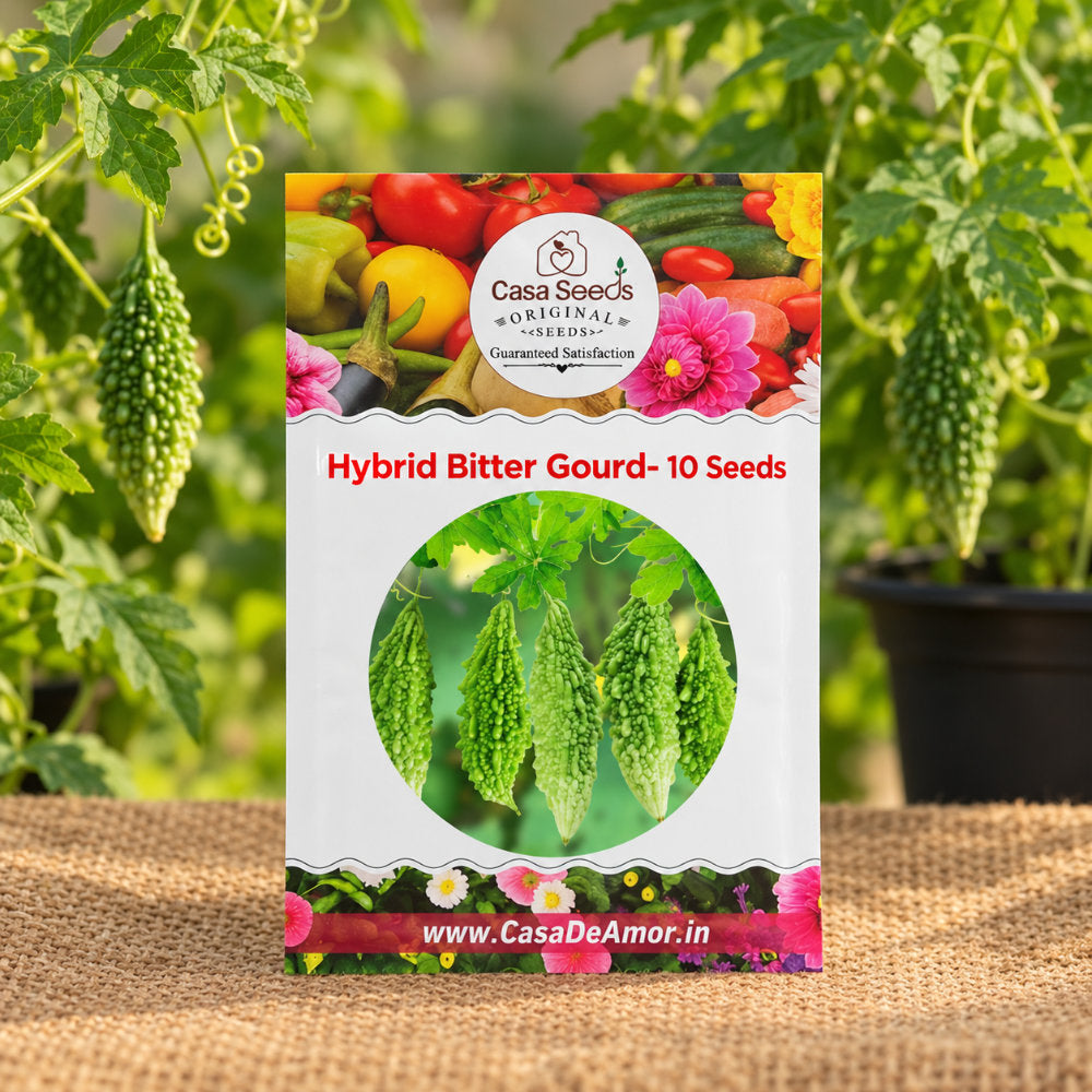 Hybrid Bitter Gourd (Karela) Seeds – 10 Seeds