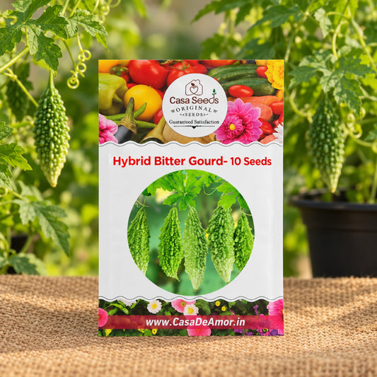 Hybrid Bitter Gourd (Karela) Seeds – 10 Seeds