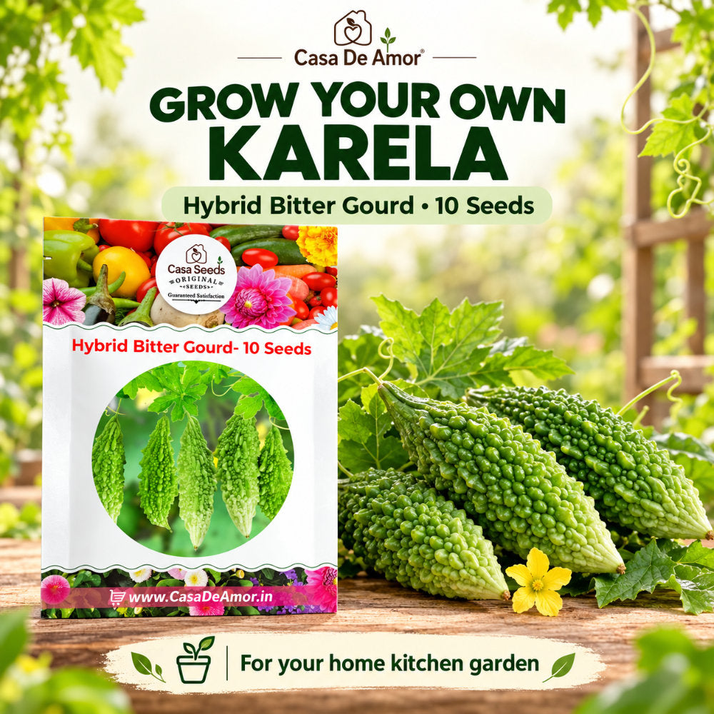 Hybrid Bitter Gourd (Karela) Seeds – 10 Seeds