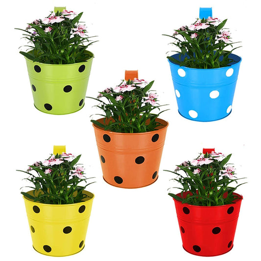 Casa De Amor Round Shape Metal Iron Wall Hanging Flower Pots, Colorful Planter Bucket (Pack of 5, multicolor)