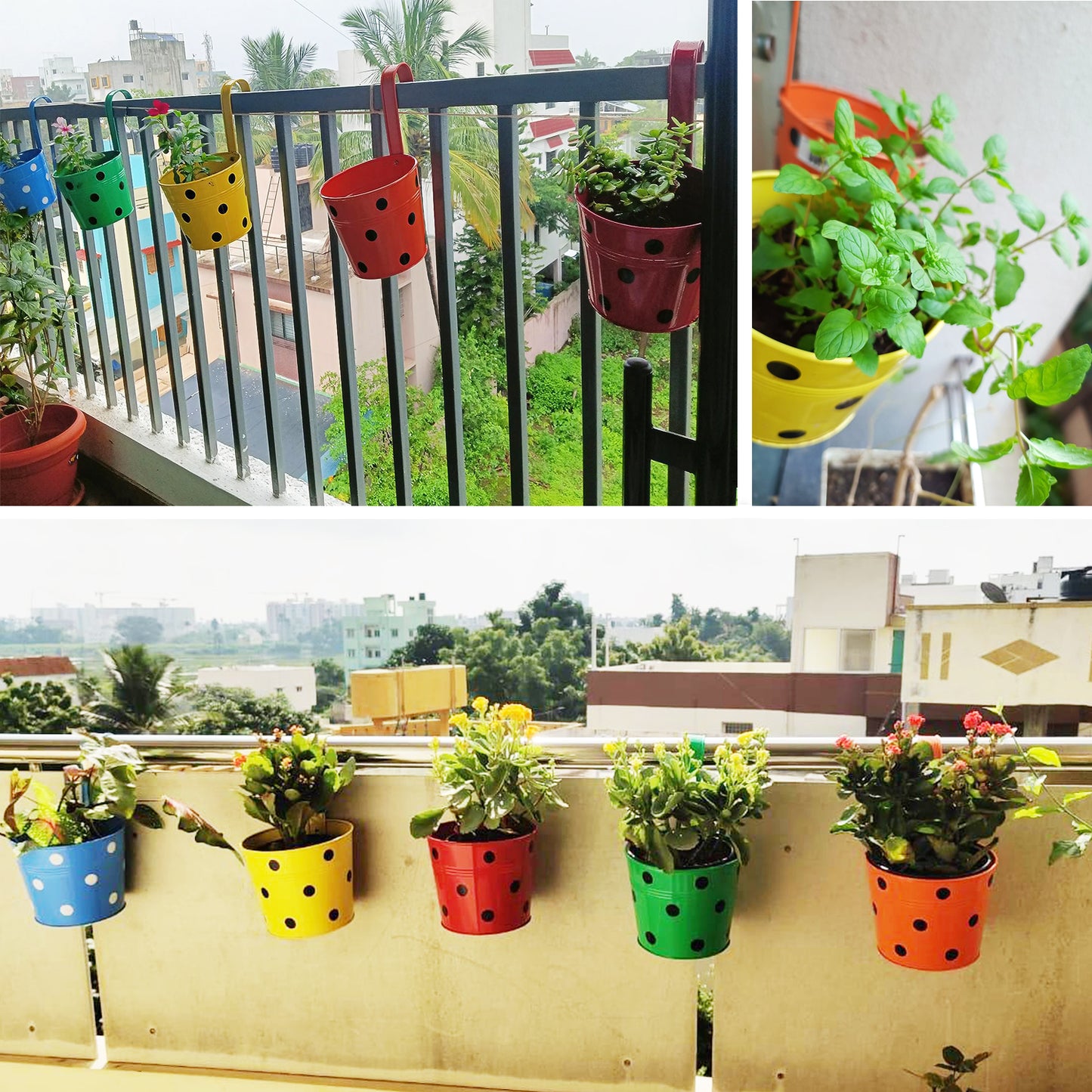 Casa De Amor Round Shape Metal Iron Wall Hanging Flower Pots (Pack of 5, multicolor)