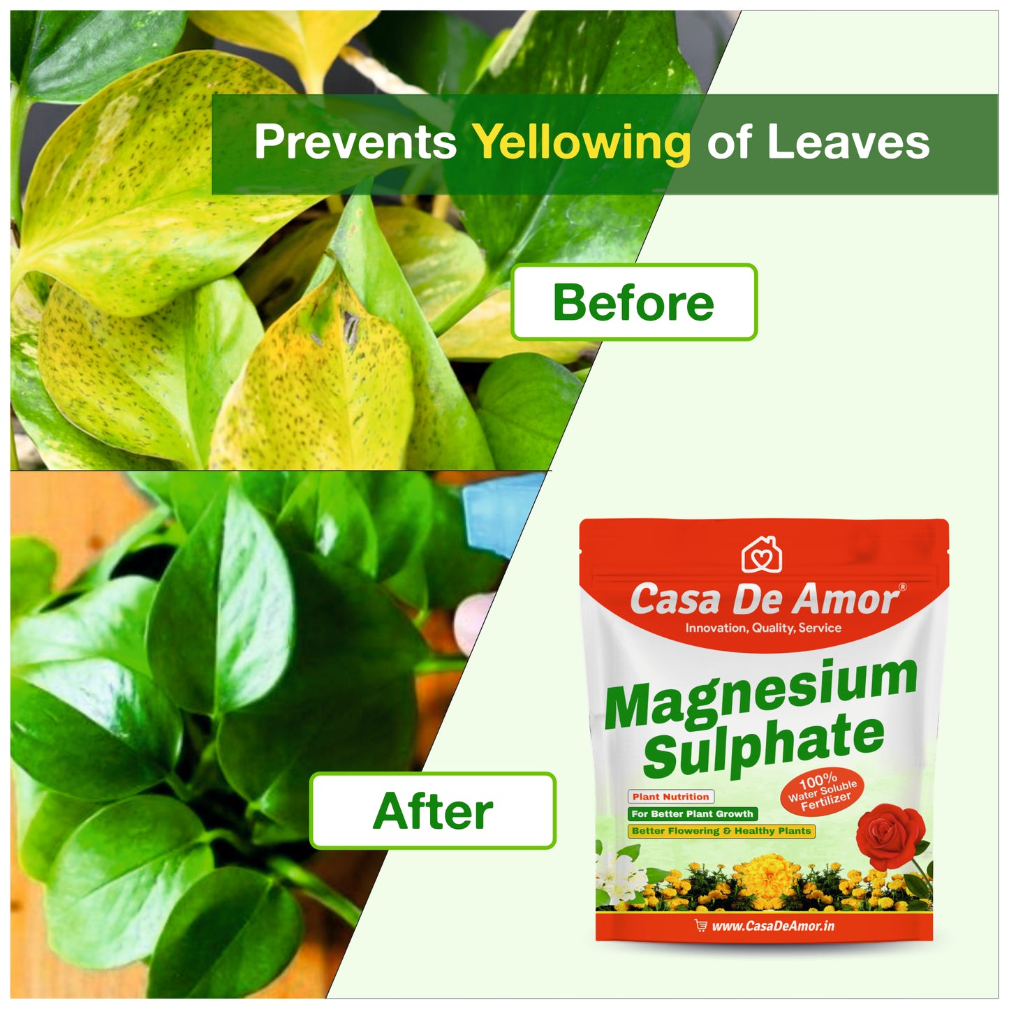 Casa De Amor Magnesium Sulphate for Better Plant Growth, Suitable for all types of plants - flowers, vegetables, indoor plants, outdoor plants