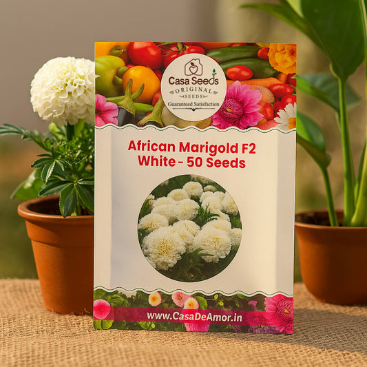 African Marigold F2 White- 50 Seeds