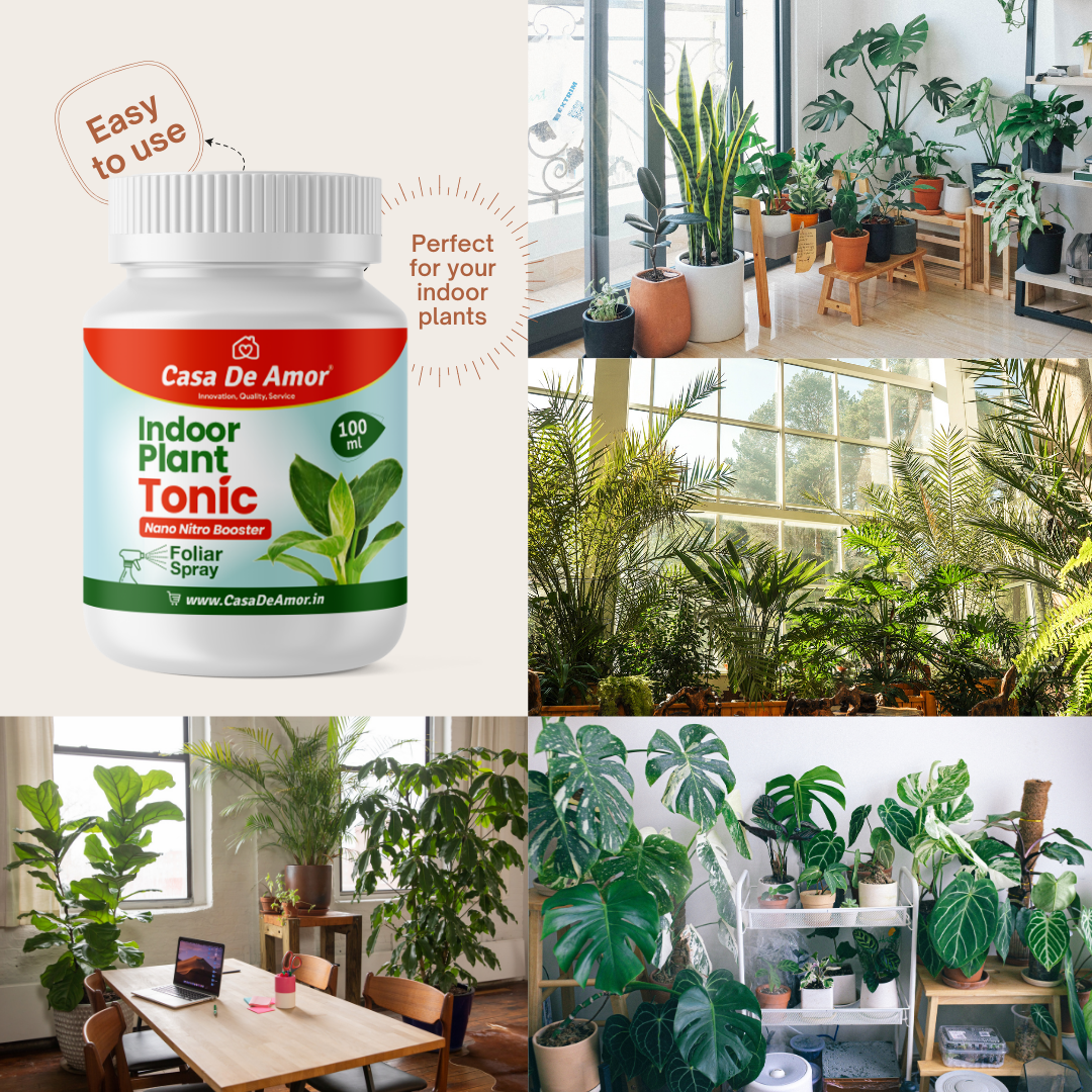Casa De Amor Indoor Plant Tonic Nano Nitro Booster - Premium Nutrient Supplement for Lush Indoor Plants (100 ml)