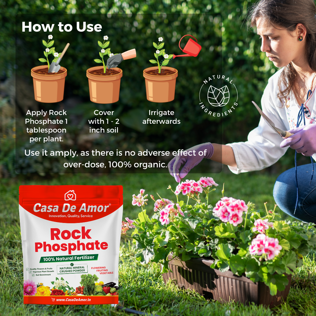 Casa De Amor Natural & Mineral Rock Phosphate Fertilizer All Purpose Crushed Powder for Fruiting and Flowering Plants