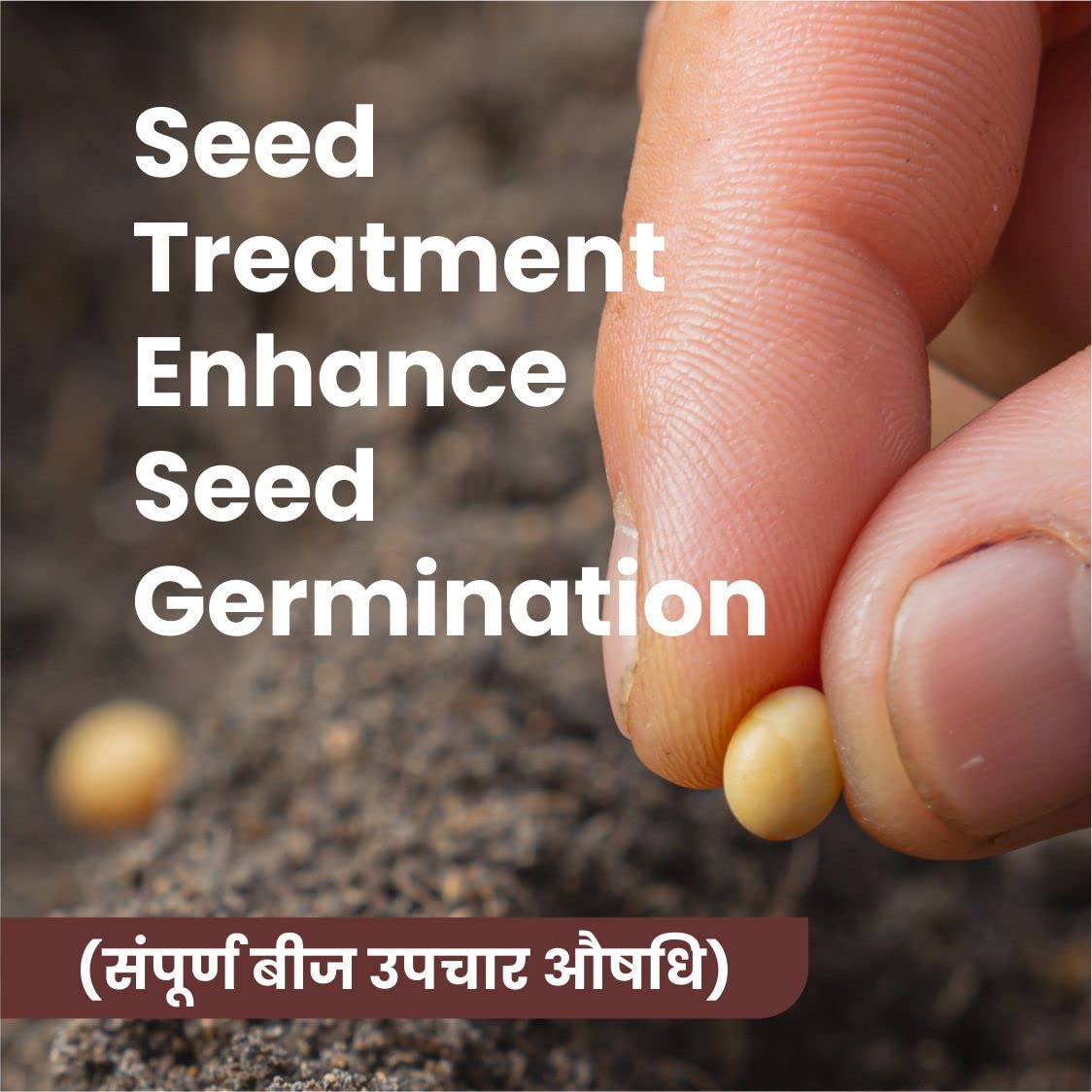 Seed Care, Complete Seed Treatment Before Sowing, Increases Germination, Stronger Seedlings 200gm