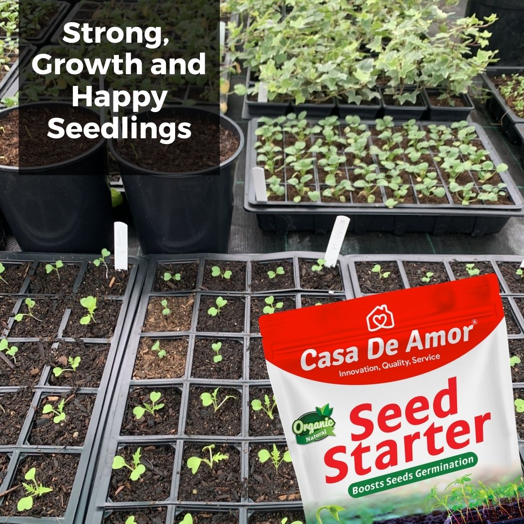 Casa De Amor Organic Seed Starter Mix for Seed Germination & Healthy Seedling