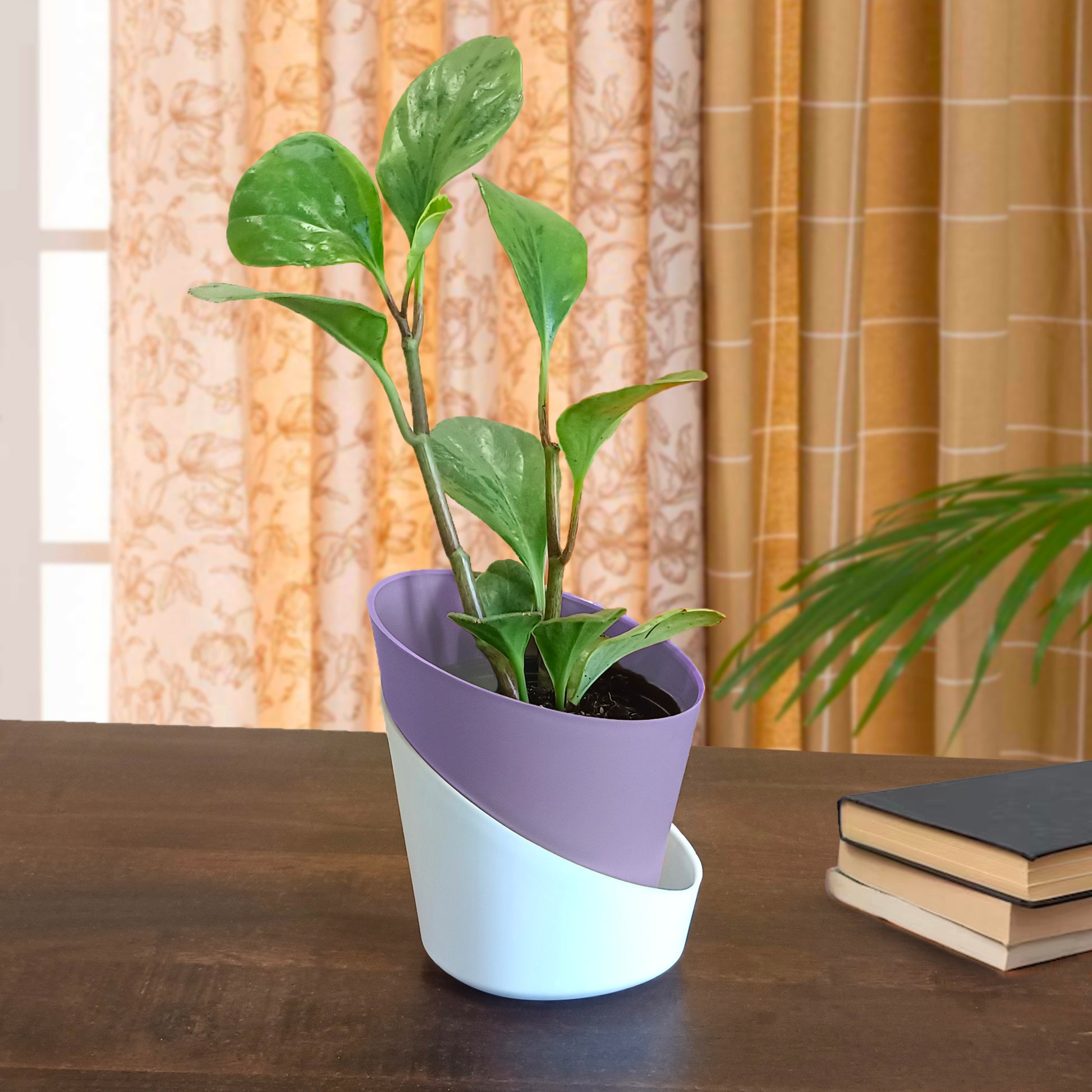 best plant pots for indoors Casa De Amor Self Watering Pots for Indoor Plants, Best Flower Pots &