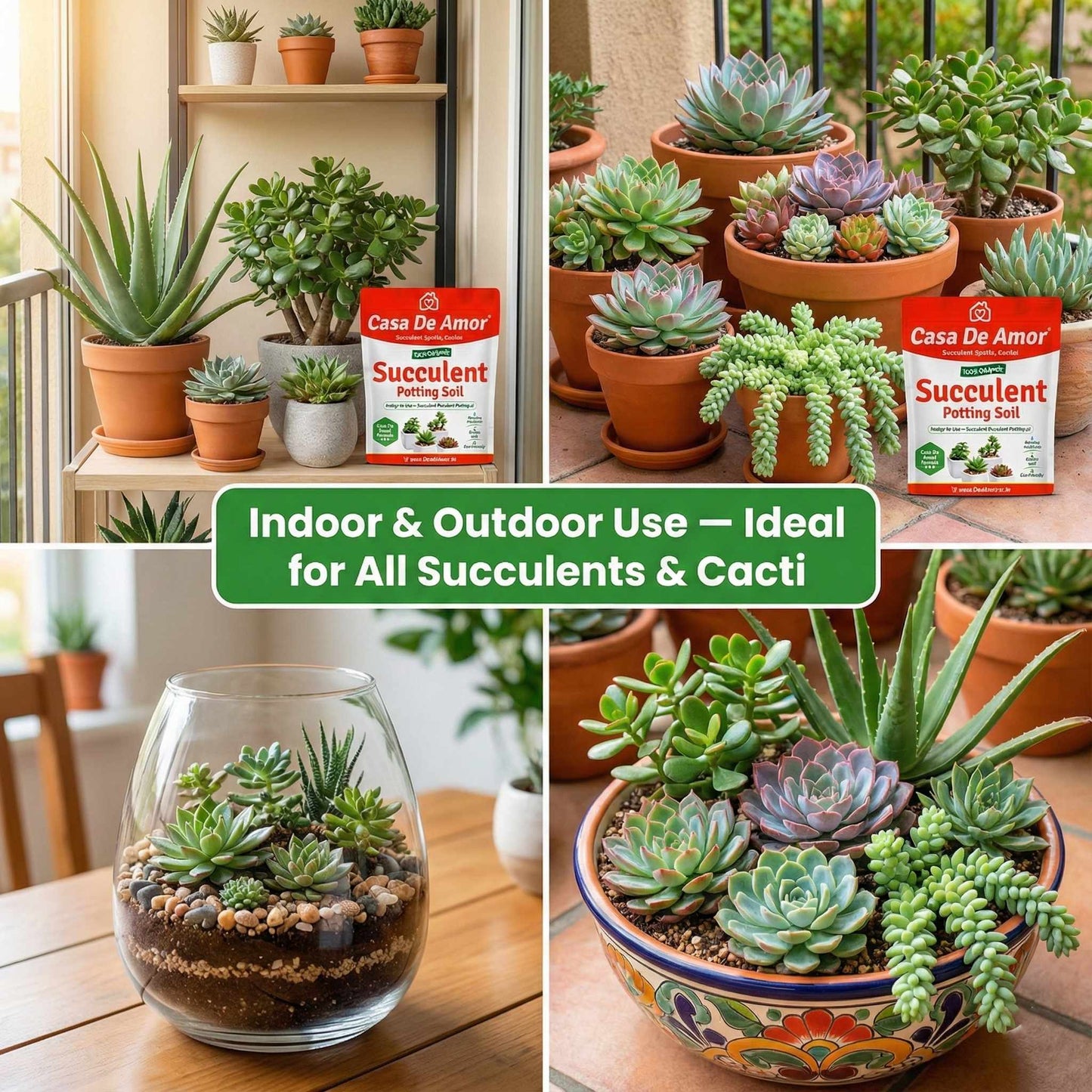 Succulents Potting Soil 100% Organic Special Research Based Formula for All Succulent Plants