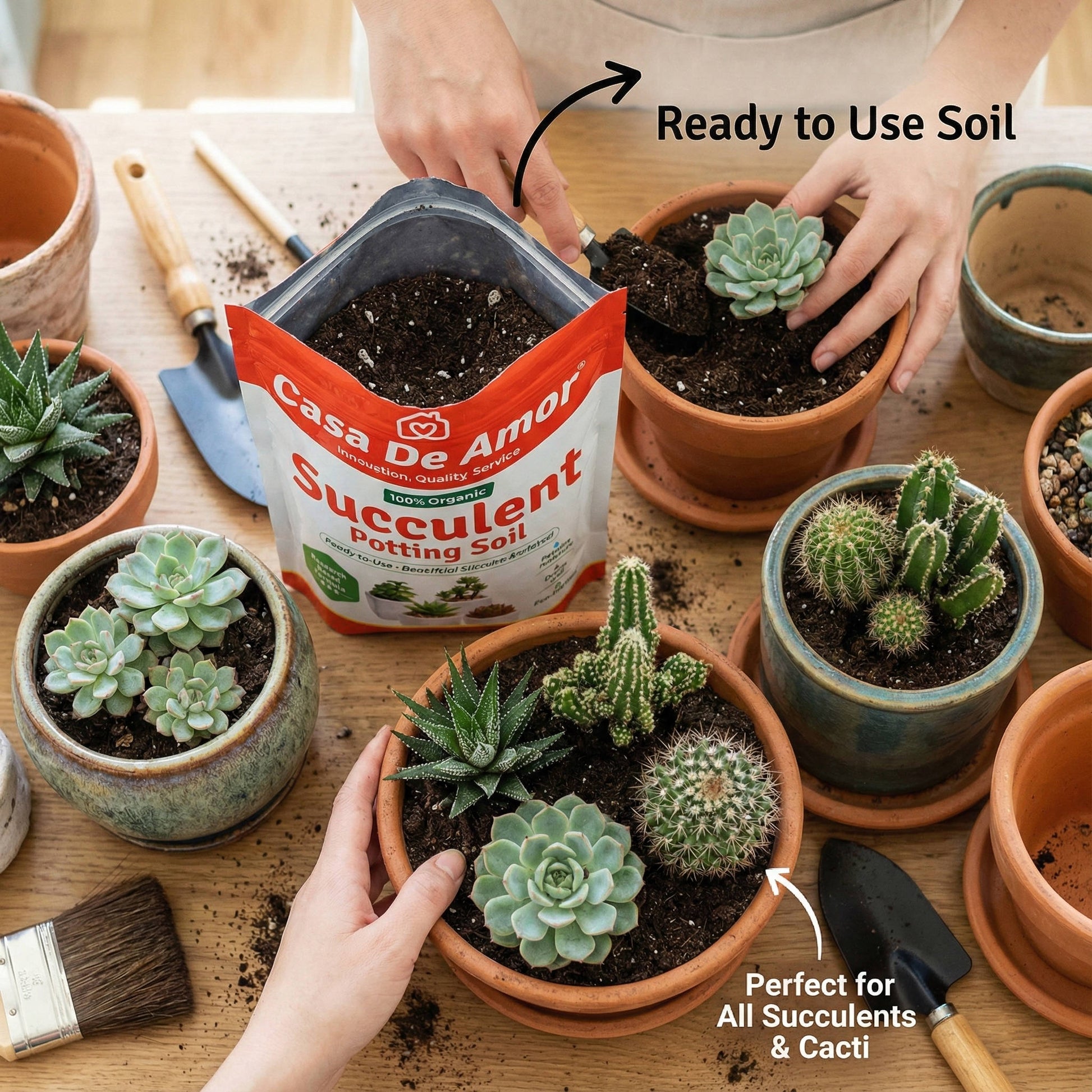 succulent potting soil Succulents Potting Soil 100% Organic Special Research Based Formula fo – Casa De Amor