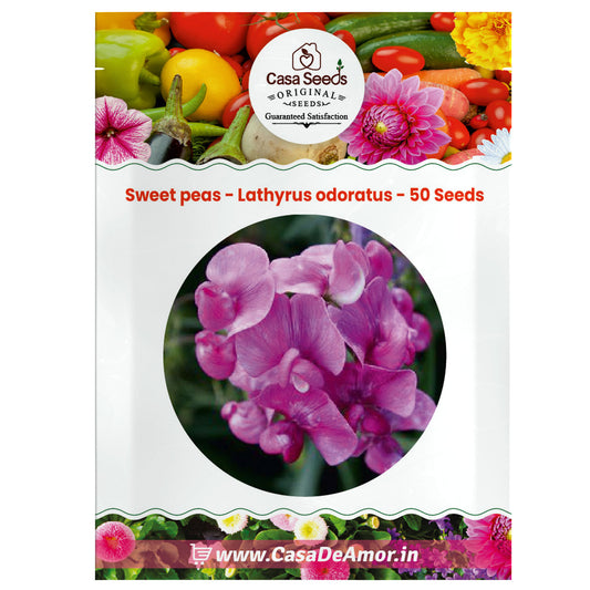 Sweet peas - Lathyrus odoratus - 50 Seeds