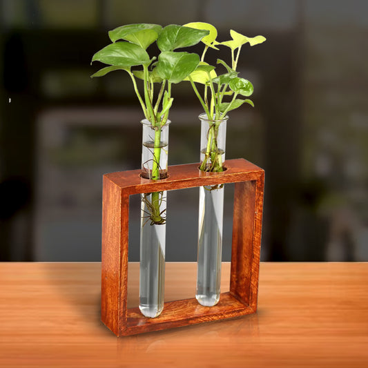 Casa De Amor Test Tube Planter with Wooden Holder for Office Table Top & Living Room Decoration