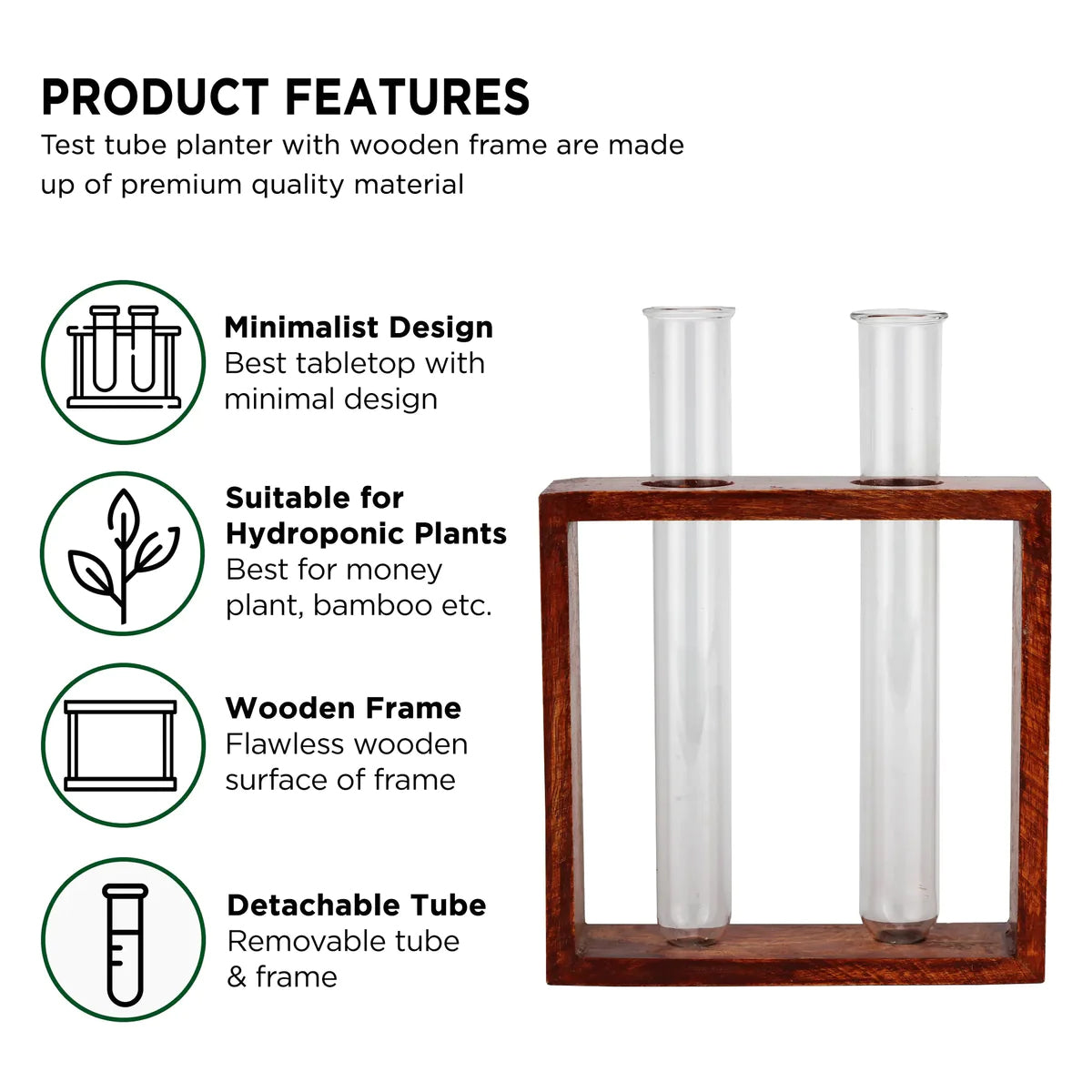 Casa De Amor Test Tube Planter with Wooden Holder for Office Table Top & Living Room Decoration
