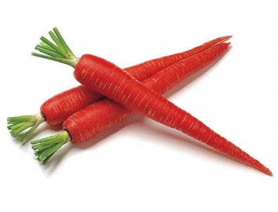 Carrot Seeds - Carrot Red Long (Seeds - 100)