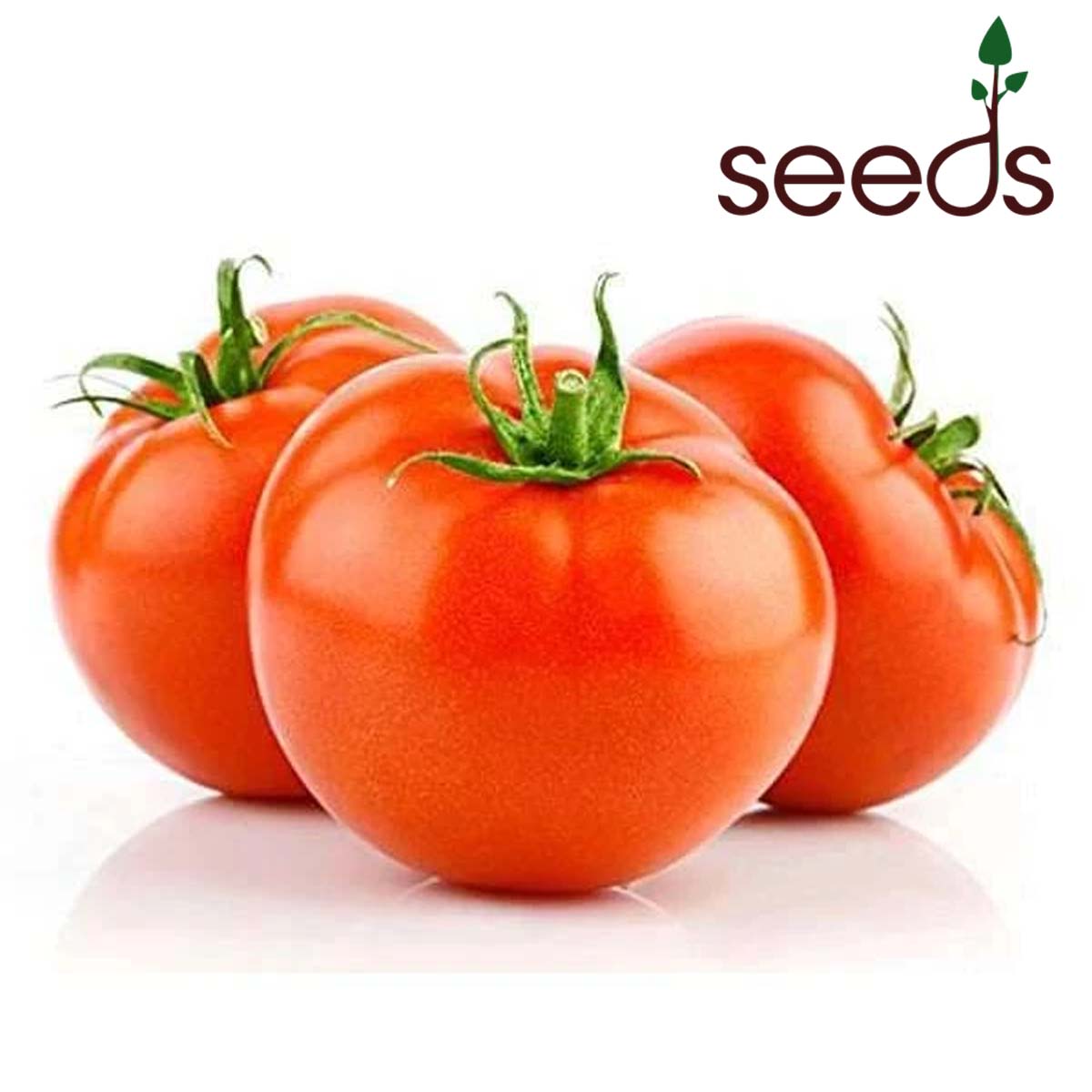 f1 hybrid tomato seeds in india