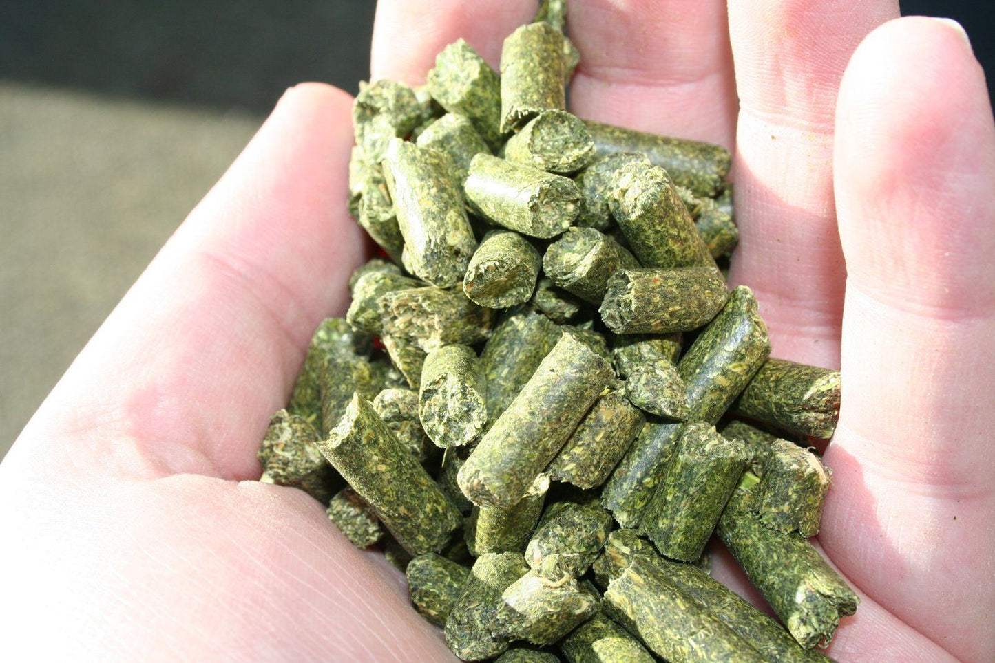 Alfalfa Pellets Fertilizer