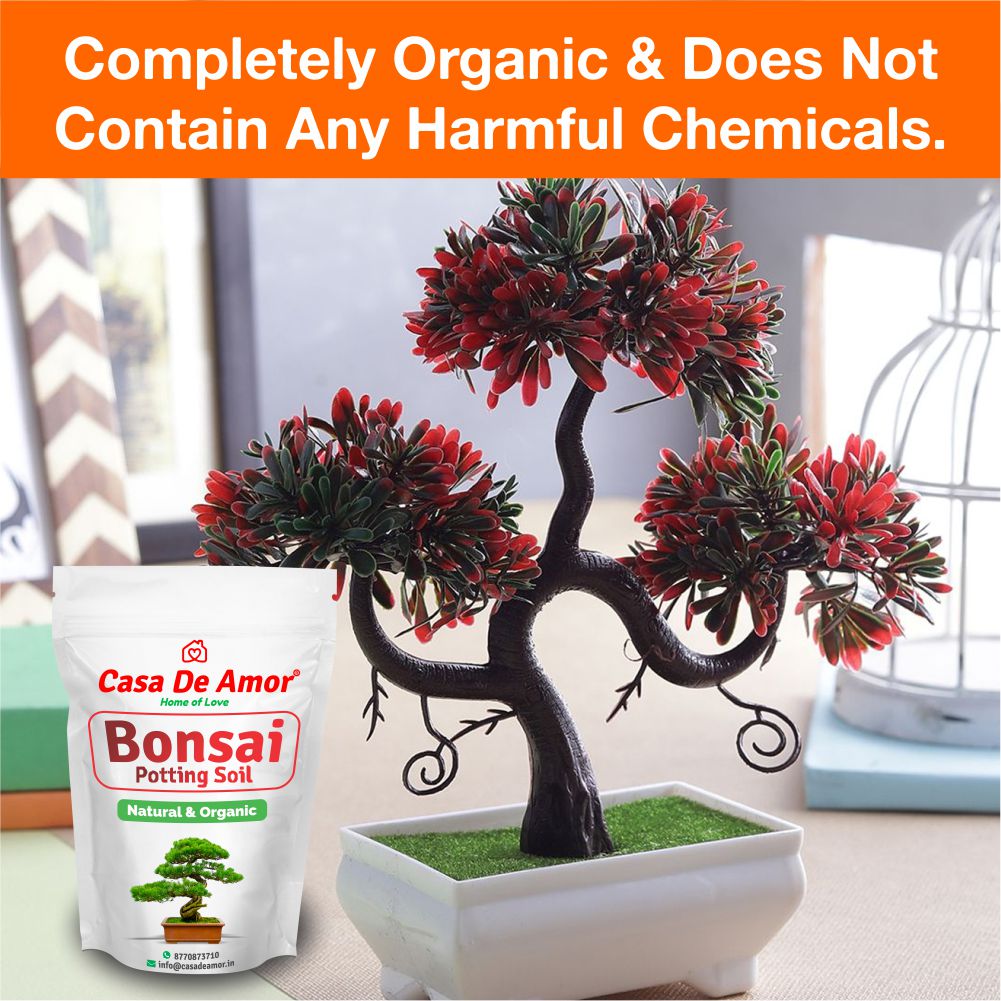 Casa De Amor Bonsai Potting Soil Organic Ready to Use