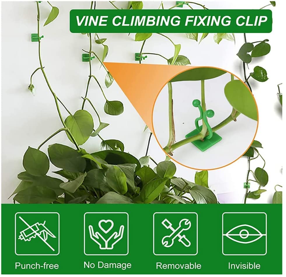 10Pcs Plant Wall Climbing Fixing Clips | Plant Support Garden Clip | Reusable Plastic Plant Support Clips | Self Adhesive Plant Vine Backed Twist Clips (Green)