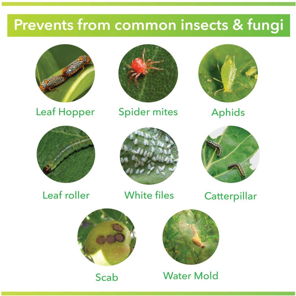 insects and fungi preventive liquid fertilizer