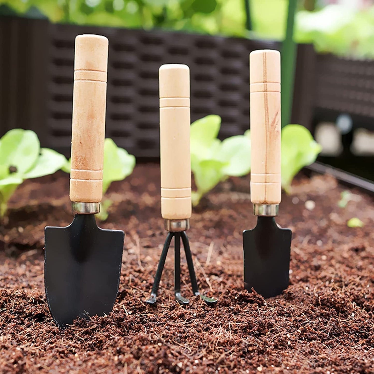 Casa De Amor Mini Gardening Tools Kit - Cultivator, Trans-Planter and Trowel (3 Piece)