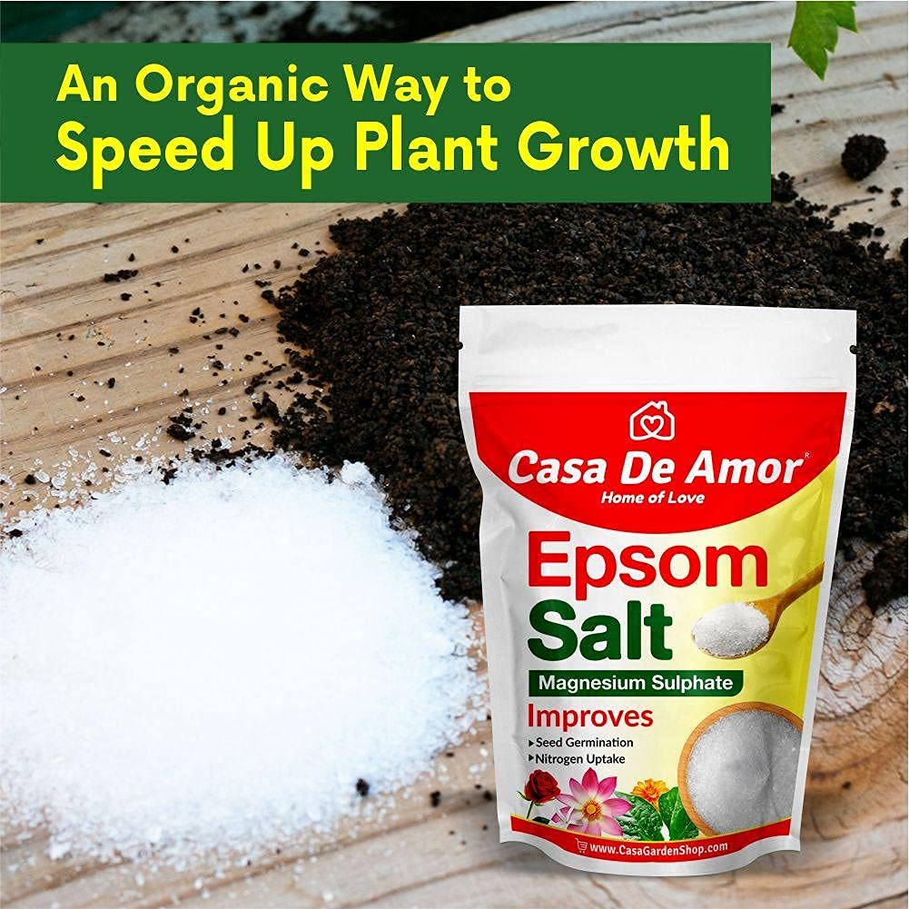 Casa De Amor Flowering Plants Fertilizer Combo- NPK 19 19 19 (200 gm) + Epsom Salt (Magnesium Sulphate- 200 gm) for Home, Balcony, Terrace Gardening (Total 400 gm)