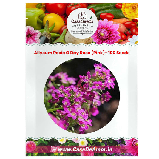 Allysum Rosie O Day Rose (Pink)- 100 Seeds