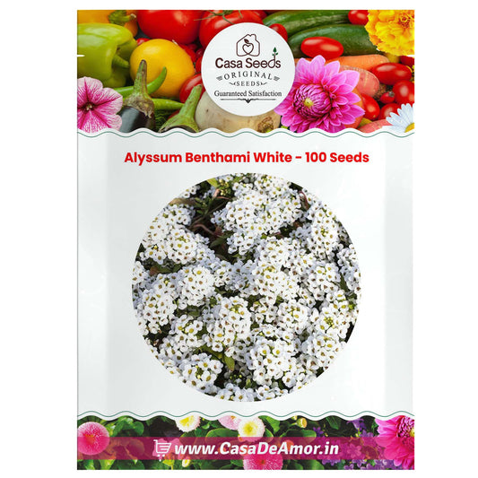 Alyssum Benthami White - 100 Seeds