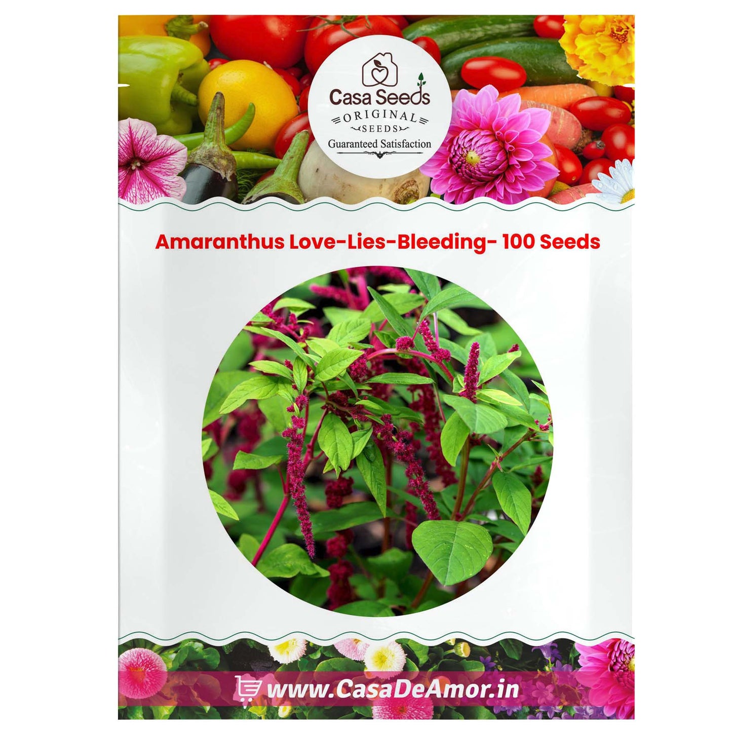 Amaranthus Love-Lies-Bleeding- 100 Seeds